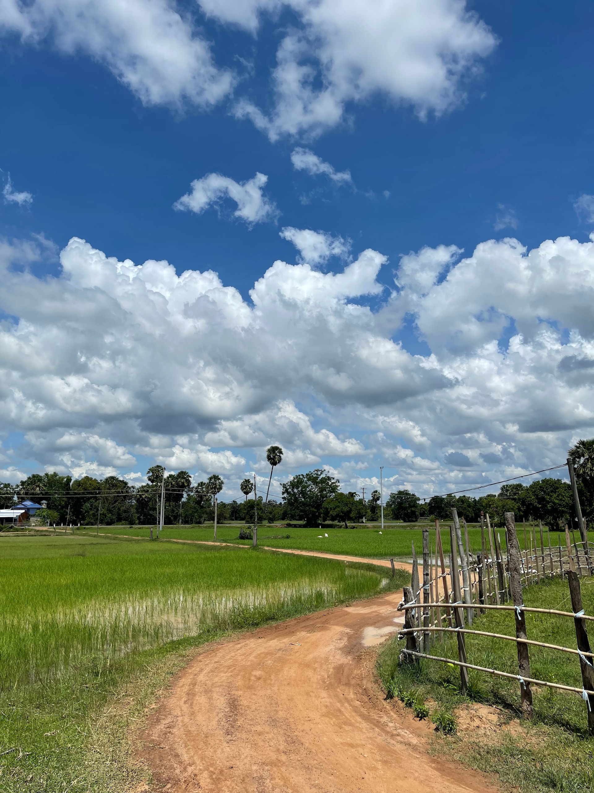 6 Reasons to Cambodia Road Trip 2024